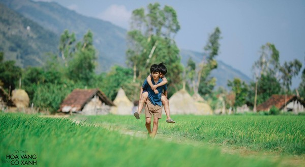 Du lịch Phú Yên thế nào sau cơn sốt “hoa vàng cỏ xanh”? - Anh 1